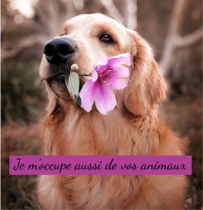 soin animaux